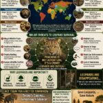 International Leopard Day: Let Us Protect the King of the Wild