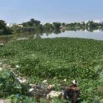 Ameenpur Lake: Our Heritage – It Is Our Responsibility to Protect It