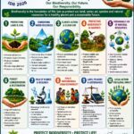 Today’s Biodiversity Conservation – Tomorrow’s Ecological Sustainability