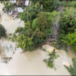 Our Survival Lies with Nature – The Environment is Our Future