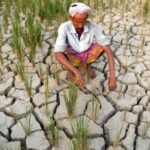ఎల్ నినో ప్రభావం: రైతులకు అత్యవసర మార్గదర్శకాలు