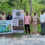 పాములను చంపొద్దు.. సురక్షిత సహజీవనమే లక్ష్యం