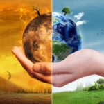 Destruction of Forest Habitats — Threat to the Future of Wildlife